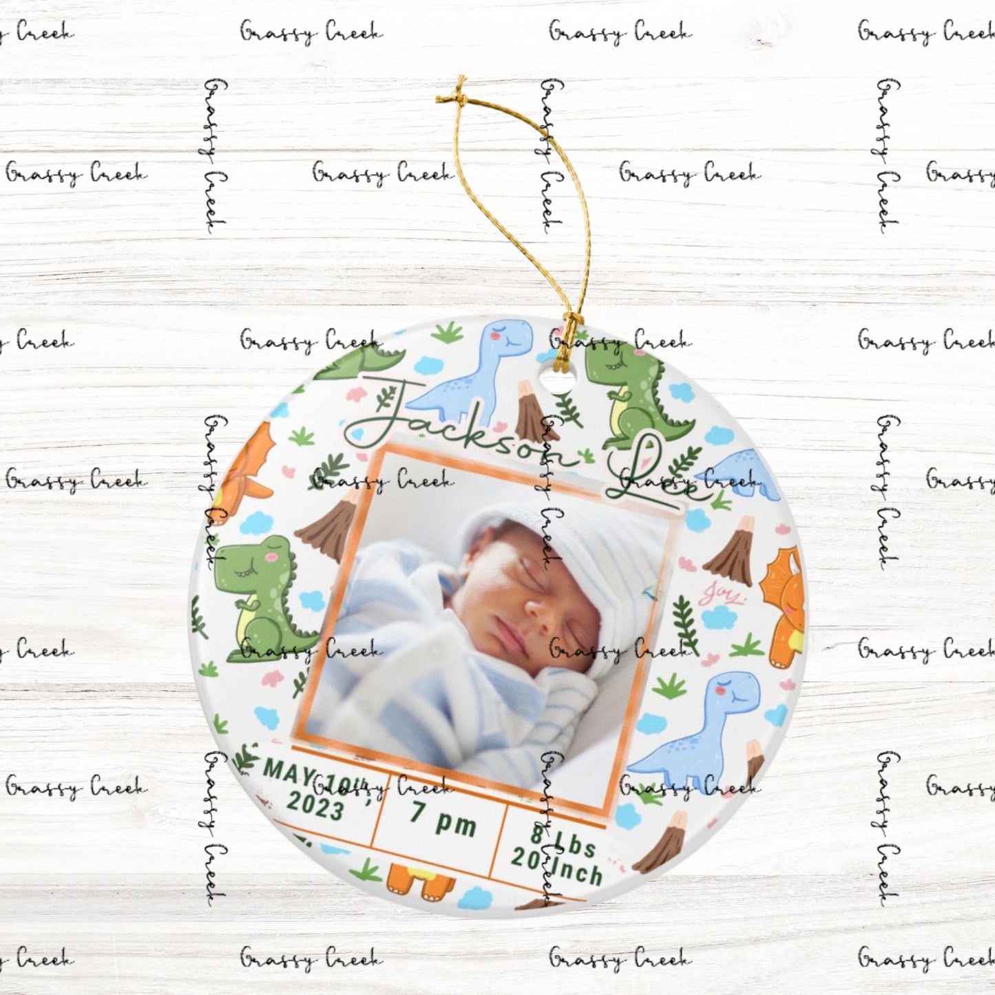 Personalized Baby Boy Dinosaur Theme Birth Stats Christmas Photo Ornament