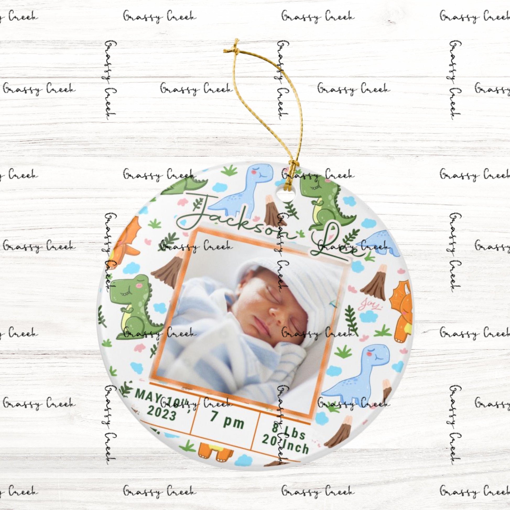 Personalized Baby Boy Dinosaur Theme Birth Stats Christmas Photo Ornament